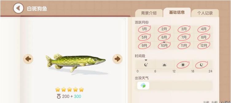 心動小鎮手遊白斑狗魚在哪裏釣